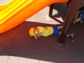 DSCF5677