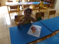 DSCF5786
