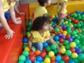 DSCF5944