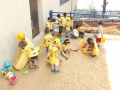 DSCF5956