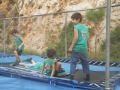 DSCF0208