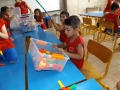 DSCF6143