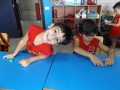 DSCF6196