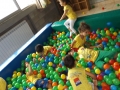 DSCF6206
