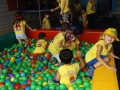 DSCF6207