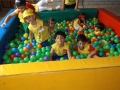 DSCF6209