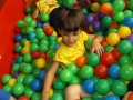 DSCF6211