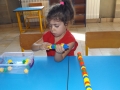 DSCF6353