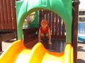 DSCF6422