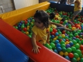 DSCF6460