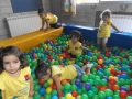 DSCF6461