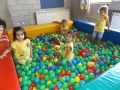 DSCF6462