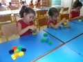 DSCF6469