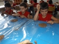 DSCF6474