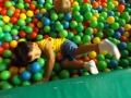 DSCF6551
