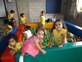 DSCF6553