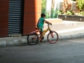 DSCF6005