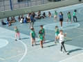 DSCF6087