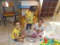 DSCF6585