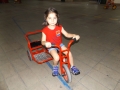 DSCF6593