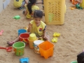 DSCF6636