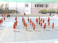 DSCF6781