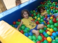 DSCF6847