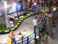 DSCF6048