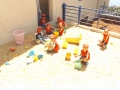 DSCF6973