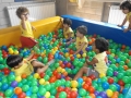 DSCF6990