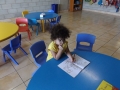 DSCF7082