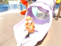DSCF7139