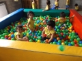 DSCF7161