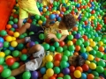 DSCF7390