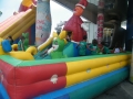 DSCF0211