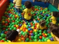 DSCF7666