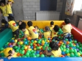 DSCF7667