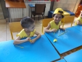 DSCF7739