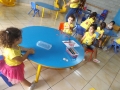 DSCF7842