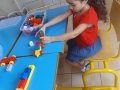 DSCF7981