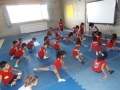 DSCF7994