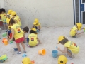 DSCF8013