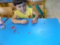 DSCF8078