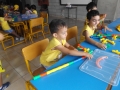 DSCF8084