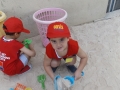 DSCF8164
