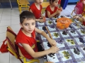DSCF8222