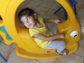 DSCF8250