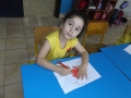 DSCF8334