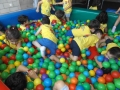 DSCF8346