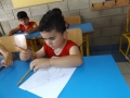 DSCF8381